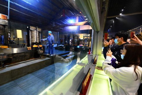 道不盡齊魯糧油好 走進山歌，聽百年油坊唱響的時代新韻